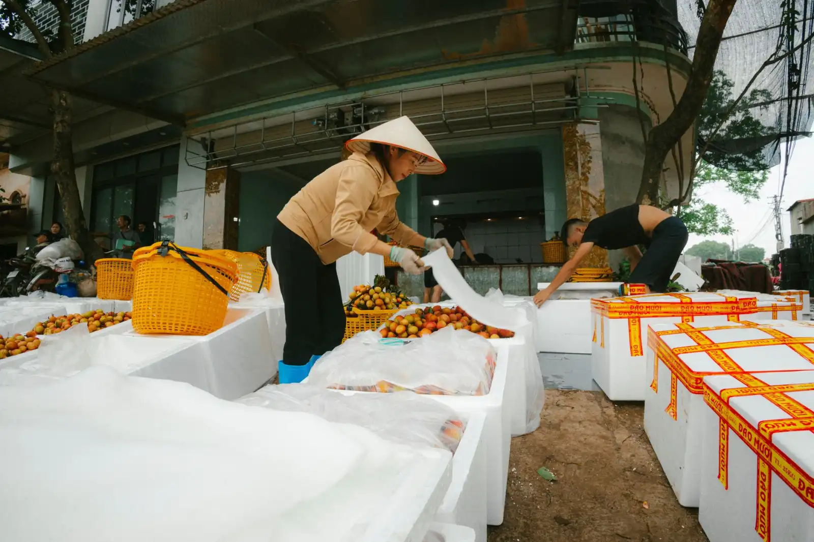 深圳晶宝钻石工具在汽车零件加工中的应用案例与效能提升