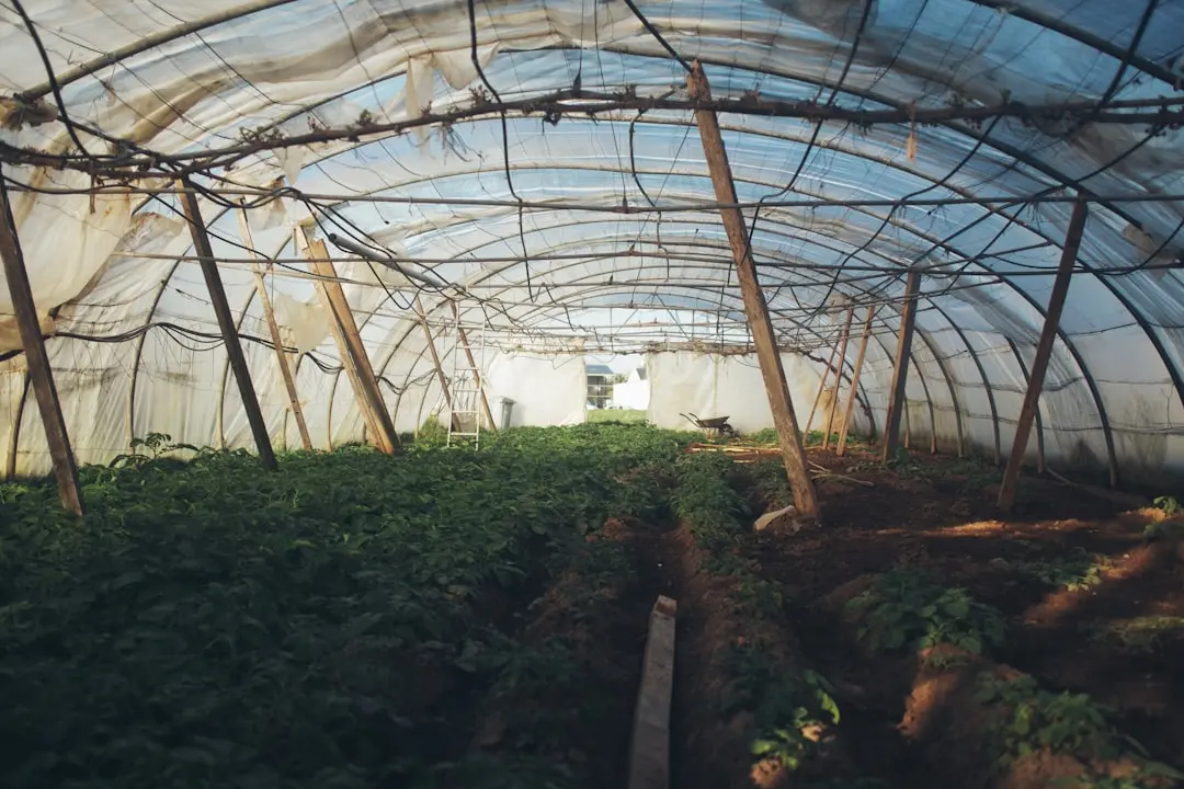 深圳晶宝金刚石磨具在精密制造领域的应用进展分析