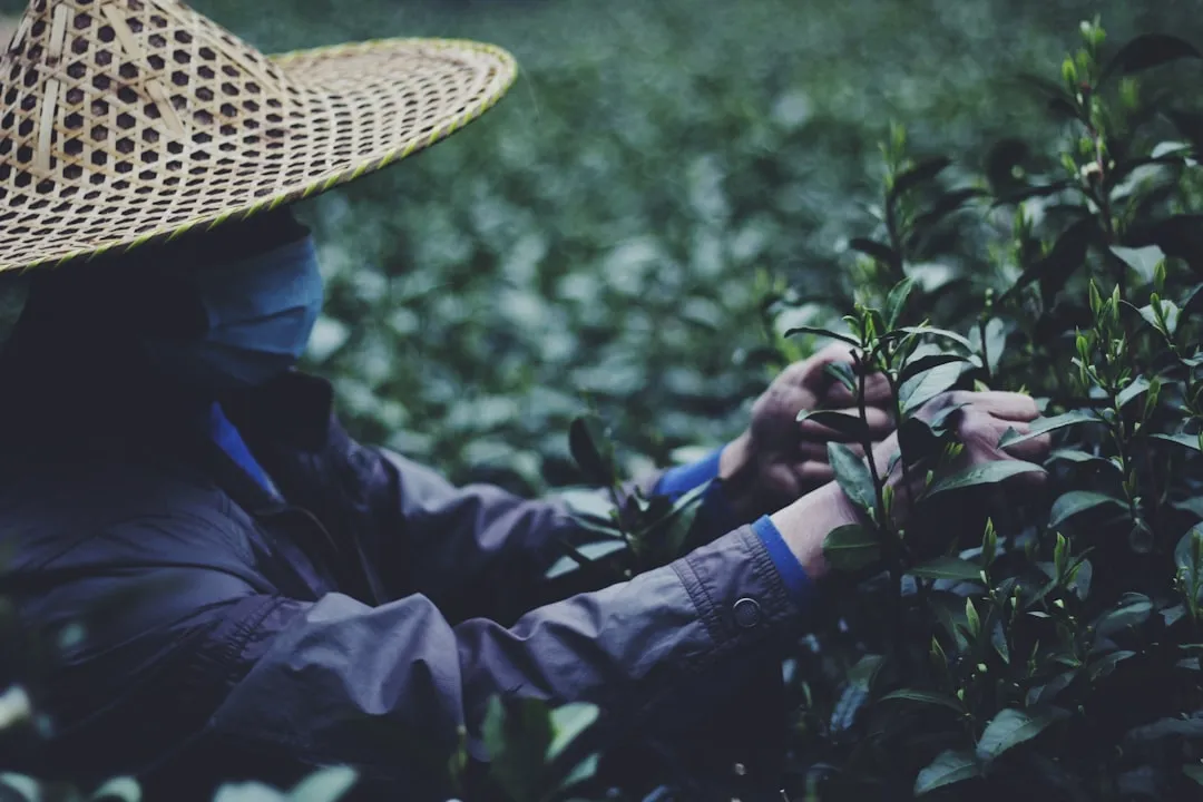 超硬材料在精密模具加工中的应用方案与选型指南